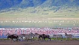 Ngorongoro Conservation Area