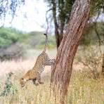 Tarangire National Park